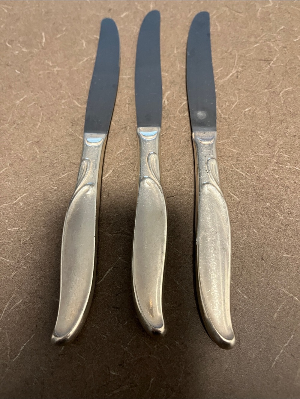 Set of 3 Stainless Steel Butter Knives - Silver Handles